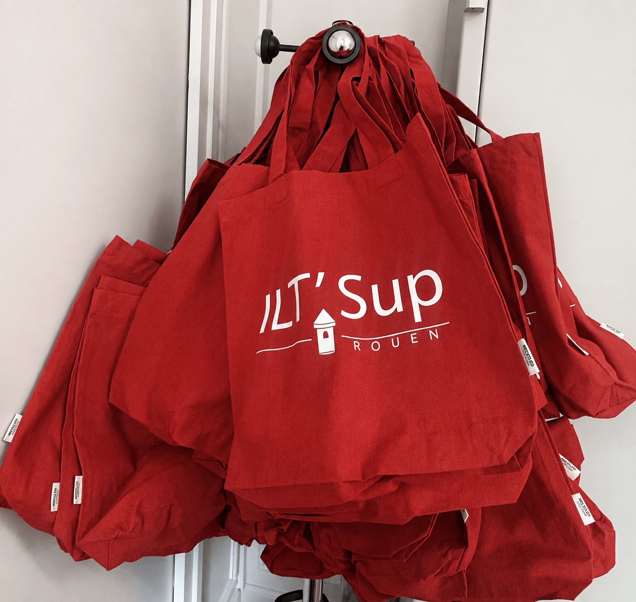 Distribution de goodies Institut Les Tourelles Rouen